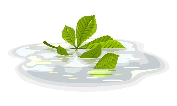 Green leaves of chestnut floating in puddle after rain. Plant is in water. — ストックベクタ