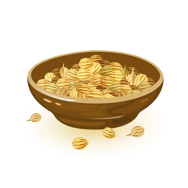 I semi di coriandolo sono in ciotola di ceramica marrone. Spezie dal sapore caldo, speziato e speziato . — Vettoriale Stock