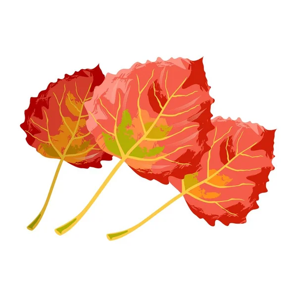 Piros, sárga és zöld évjáratú levelek az Aspeni fáról. Az őszi lombozat sokszínű szépsége. — Stock Vector
