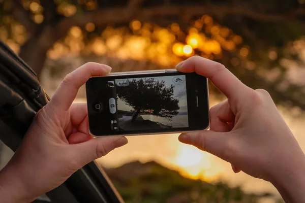 Foto Van Een Boom Een Telefoon Scherm Focus Voorgrond Selectieve — Stockfoto