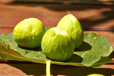 Ahşap tablo yüzey üstüne bir yaprak üzerinde olgunlaşmış taze incir. İncir üzerinde parlak güneş ışığı. Yakın çekim. 