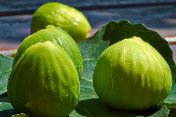 Ripe green figs on a leaf atop a wooden table\'s surface. Bright sunlight on the figs. Close up.