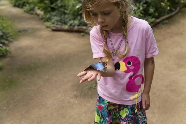 好奇的女孩拿着一只蓝色的蝴蝶在她的手掌 高角度视图 三季度长度 — 图库照片