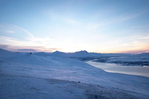 Kar Arka Planda Dağ Kütleleriyle Norveç Topraklarını Kapladı — Stok fotoğraf