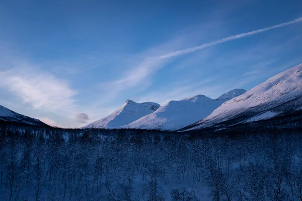 Malerische Winterwaldlandschaft Mit Schneebedeckten Bergen Und Blauem Himmel — Stockfoto