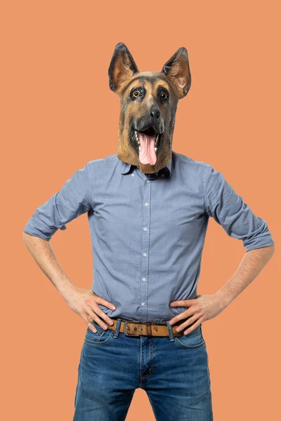 Man Wearing Dog Mask Hands Hips Facing Camera Studio Shot — Stock Photo, Image