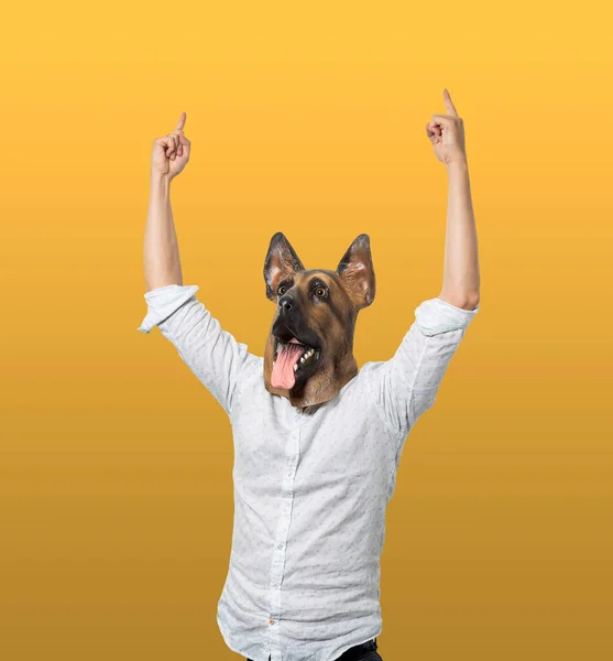 Man Wearing Dog Mask Arms Raised Pointing Isolated Yellow Background — Stock Photo, Image