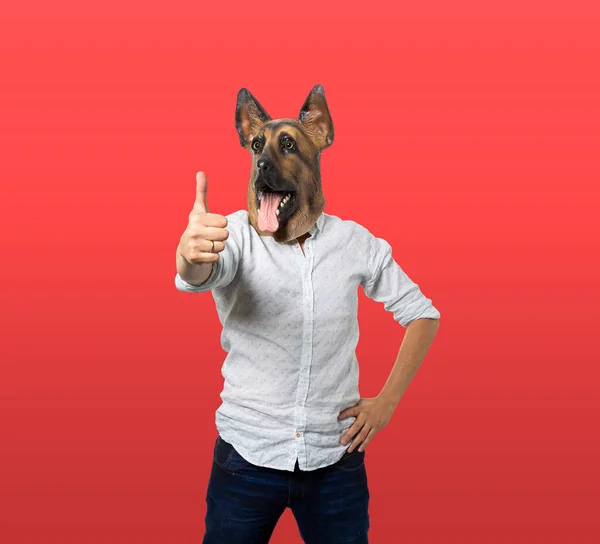 Mann Mit Hundemaske Gibt Daumen Hoch Vereinzelter Roter Hintergrund Mittlerer — Stockfoto