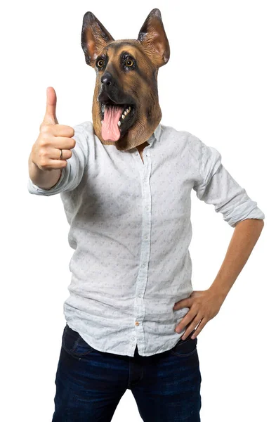 Man Dog Mask Giving Thumbs Isolated White Background Medium Shot — Stock Photo, Image