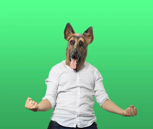 拳で手のジェスチャーに勝つはいを示す犬のマスクを着た男 中発だ 隔離された緑の背景 — ストック写真