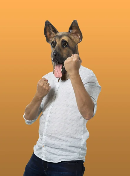 拳で戦う姿勢で犬のマスクをした男 中発だ 孤立したオレンジの背景 — ストック写真