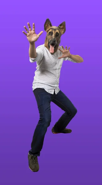 Man Wearing Dog Mask Superhero Fight Stance Full Length Isolated — Stock Photo, Image