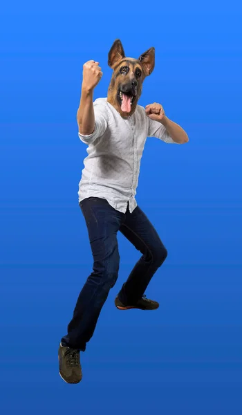 Man Wearing Dog Mask Raising Fist Camera Fight Stance Full — Stock Photo, Image