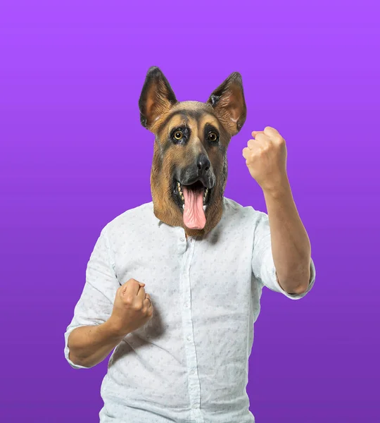 孤立した紫色の背景にガードと戦うポーズの犬のマスクの男 — ストック写真