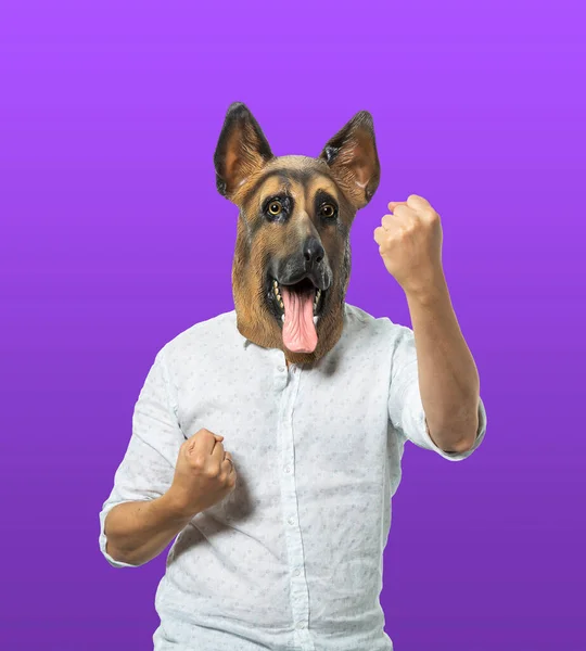 Hombre Con Máscara Perro Posando Guardia Combate Sobre Fondo Púrpura — Foto de Stock