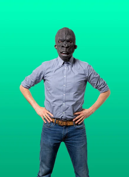 Man Met Gorilla Masker Met Handen Heupen Gericht Camera Geïsoleerde — Stockfoto