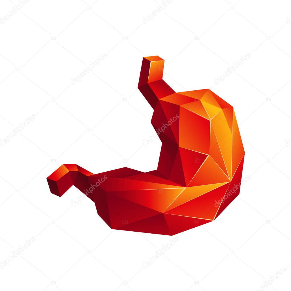 Red low poly human stomach on a white background. Abstract anatomy organ. Stomach in 3D polygon style.
