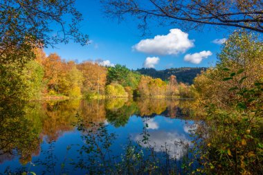 Güneşli bir sonbahar ağaçlar Trossachs, İskoçya, İngiltere'de