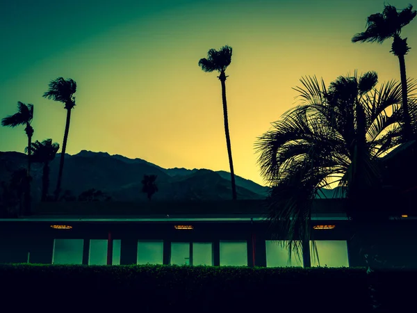 Mountains Palm Trees Motel Lights Palm Springs Sunset Copy Space — Stock Photo, Image