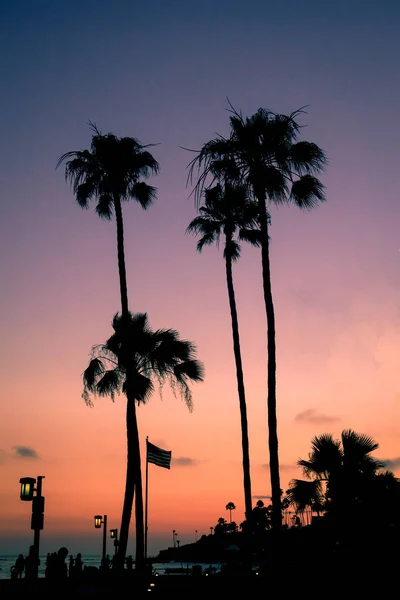 Siluetas Palmeras Playa Atardecer Sur California — Foto de Stock