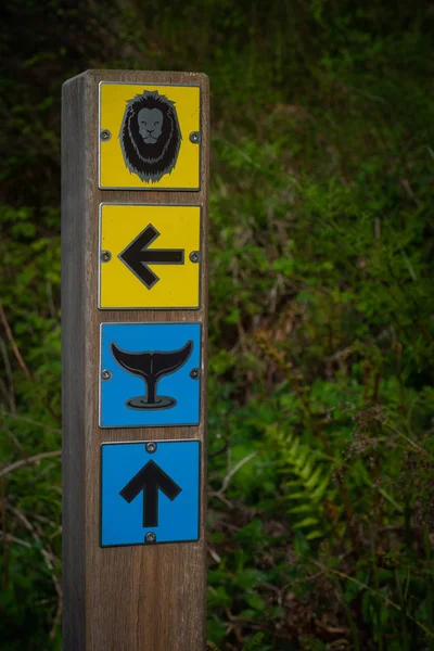 Directions Path Leading Animals — Stock Photo, Image