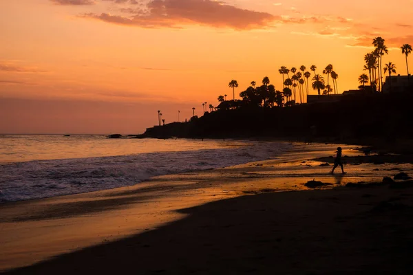 SIlhouetted personas y palmeras en la playa al atardecer en Sout — Foto de Stock