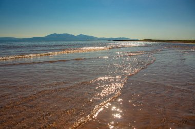 Portencross Beach Ayrshire Iskoçya 'da bir güneşli yaz günü zeka