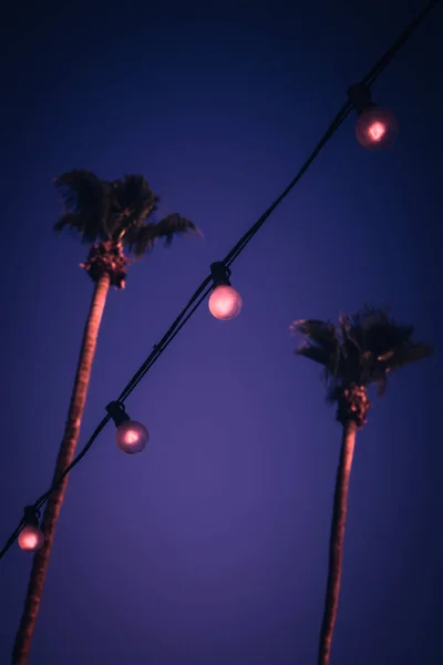 Palmiye Ağaçları ve Yaylı Işıklar ile Çöl Gece Arka Plan — Stok fotoğraf