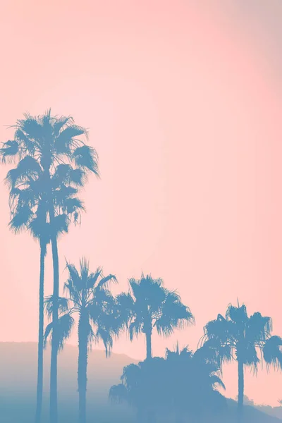 California Sunset Over Hills com palmeiras em primeiro plano — Fotografia de Stock