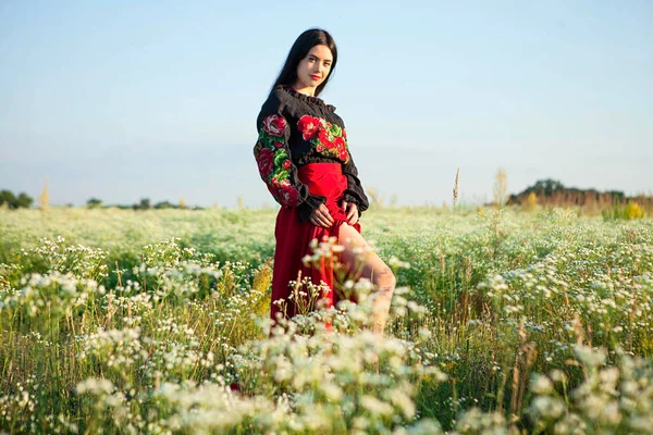 Krásná Mladá Dívka Poli Květin Podívejte Mladou Dívku Ukrajinského Kostýmu — Stock fotografie
