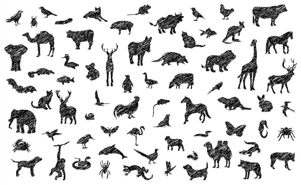 Dibujo Divertido Realista Colección Lápiz Animales Siluetas Dibujadas Mano Vector — Archivo Imágenes Vectoriales