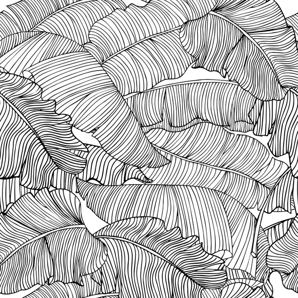 Seamless Pattern Exotic White Banana Leaves Black Outlines Isolated Transparent — Stock Photo, Image