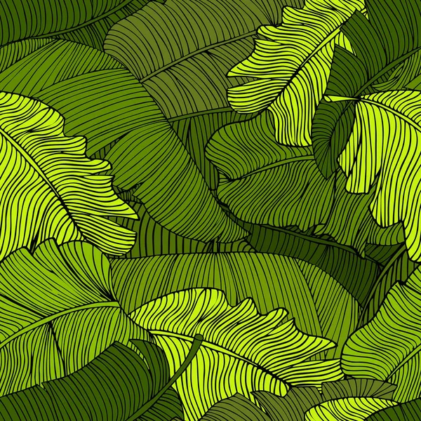 Wzór Egzotycznych Jasne Zielone Liście Zbliżenie Banana Obraz Ozdobny Liści — Wektor stockowy
