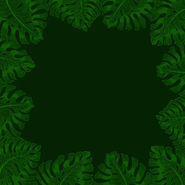 Frame Text Dark Green Background Green Exotic Leaves Monsteras Hanging — Stock Photo, Image