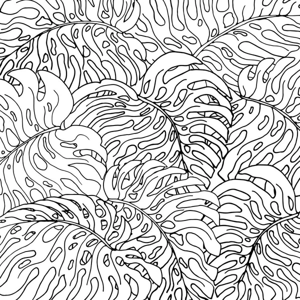 Skizze Eines Exotischen Weißen Monsterblattes Mit Schwarzen Umrissen Isoliert Auf — Stockvektor