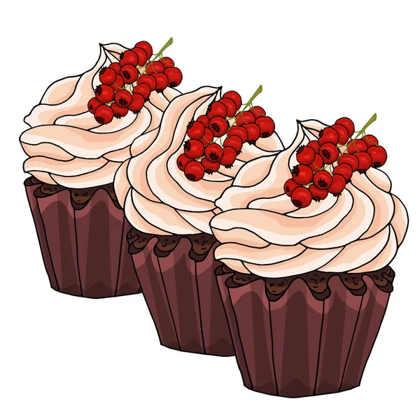 Ilustración de un cupcakes decorar con crema de chocolate y racimo de grosellas rojas, aislado sobre un fondo blanco . — Vector de stock