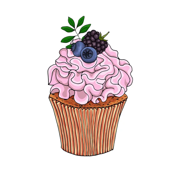 Ilustração de um cupcake decorar com creme rosa e mirtilos, amora, isolado em um fundo branco . —  Vetores de Stock