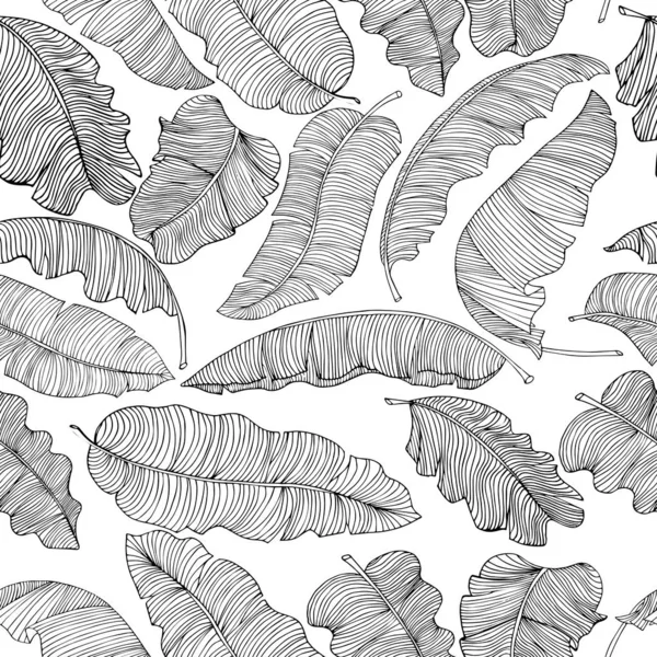Motif sans couture de feuilles de banane exotiques et blanches aux contours noirs isolés sur un fond transparent . — Image vectorielle