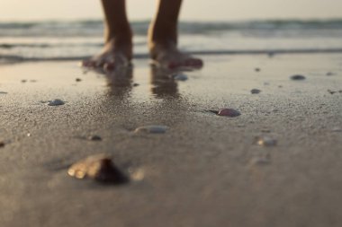 Arka planda kabuk, kum ve insan bacakları var..