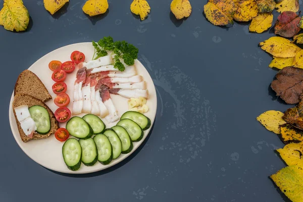 Sliced salted lard served with cucumber, tomato and bread. Traditional Russian snack. Homemade food. Healthy food. Organic ingredients copy space — Stock Image Sliced Salted Lard Served Cucumber Tomato Bread Traditional Russian Snack Stock Image