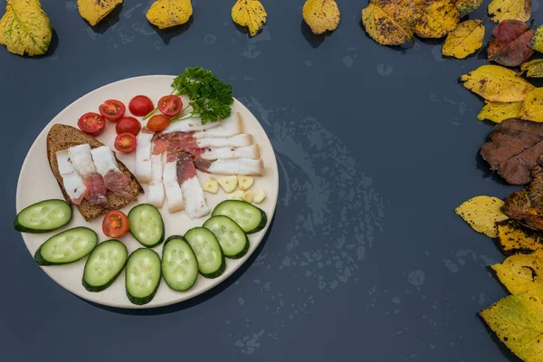 Sliced salted lard served with cucumber, tomato and bread. Traditional Russian snack. Homemade food. Healthy food. Organic ingredients copy space — Stock Image Sliced Salted Lard Served Cucumber Tomato Bread Traditional Russian Snack Stock Image
