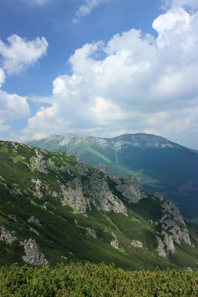 Horská Krajina Zelenými Kopci Zamračená Obloha — Stock fotografie