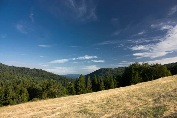 Vista Panoramica Del Verde Paesaggio Montagnoso — Foto Stock