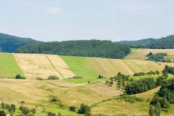 Krajobraz Górski Zielonymi Polami Słońcu — Zdjęcie stockowe