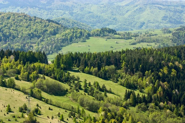 Vista Panorâmica Paisagem Montanhosa Com Grama Verde Árvores — Fotografia de Stock