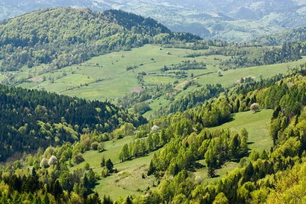 Vista Panoramica Del Paesaggio Montuoso Con Erba Verde Alberi — Foto Stock