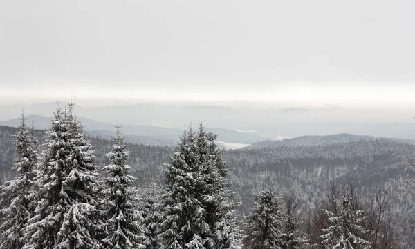 Landschaft Mit Schneebedeckten Hügeln Und Bäumen Unter Bewölktem Himmel — Stockfoto