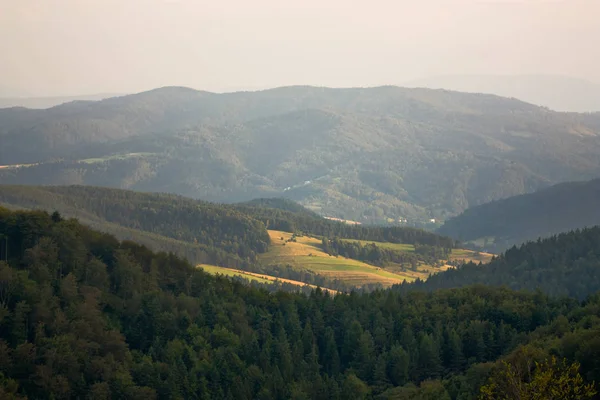 Vue Panoramique Paysage Montagneux Verdoyant — Photo