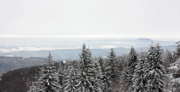 Landschaft Mit Schneebedeckten Hügeln Und Bäumen Unter Bewölktem Himmel — Stockfoto