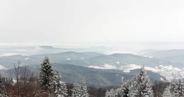 Landschaft Mit Schneebedeckten Hügeln Und Bäumen Unter Bewölktem Himmel — Stockfoto